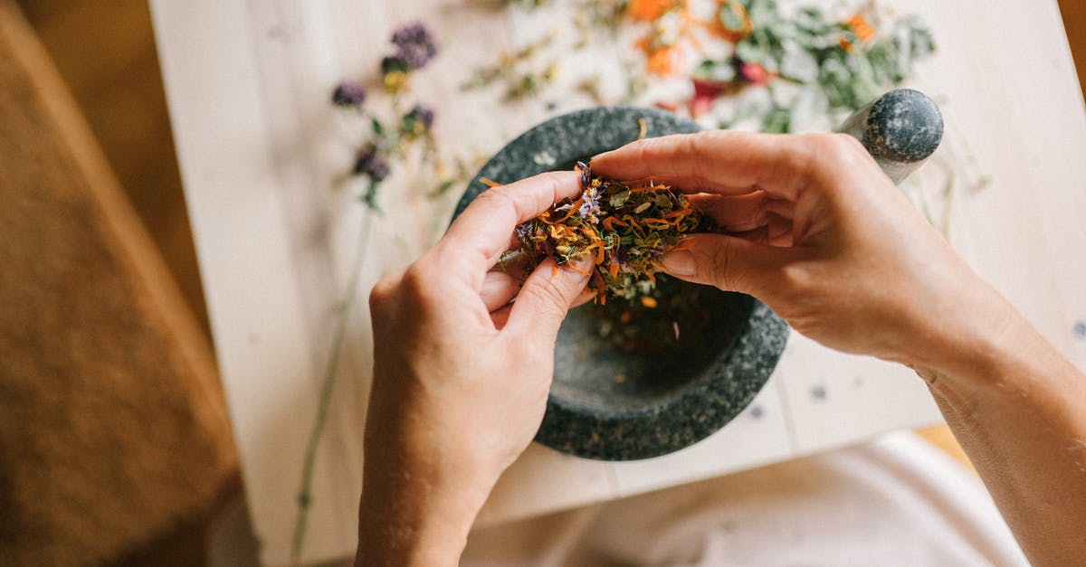What are the herbs that "dry" the best? - Person Holding Brown and Black Butterfly