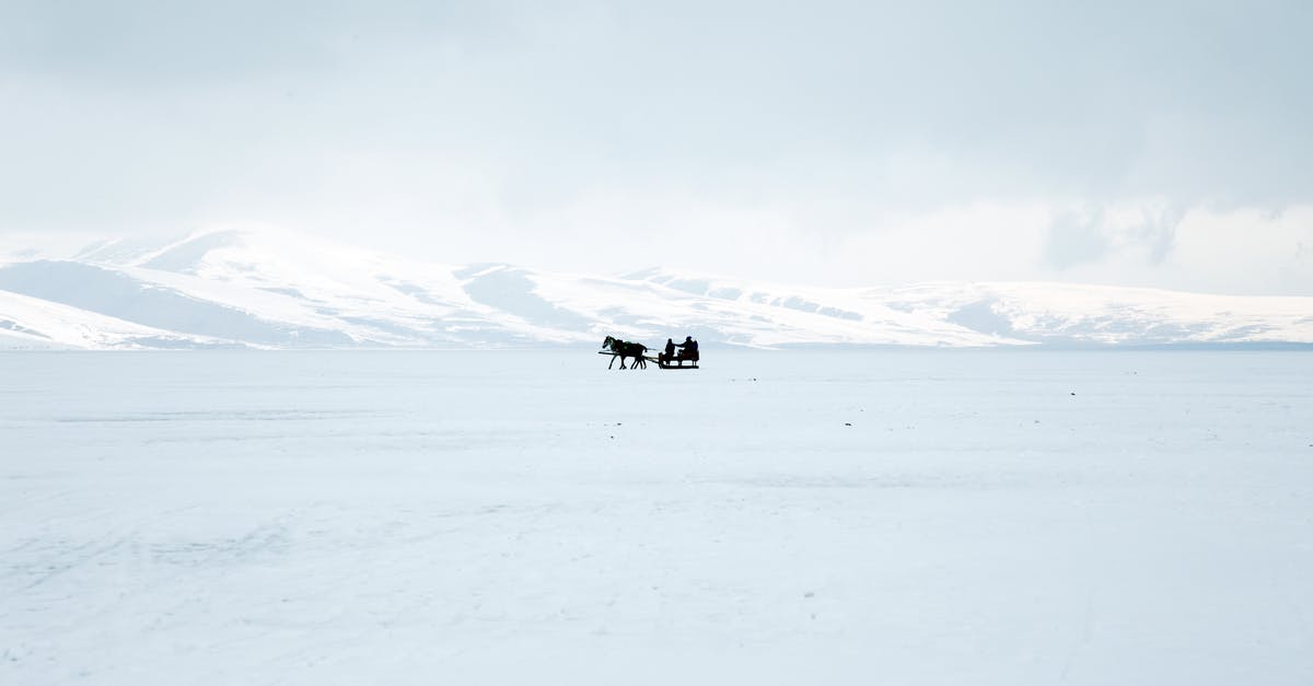 What are the options for thawing a frozen turkey? - Silhouette Of A Horse With Sled on Snow Covered Ground What are the options for thawing a frozen turkey? - Silhouette Of A Horse With Sled on Snow Covered Ground