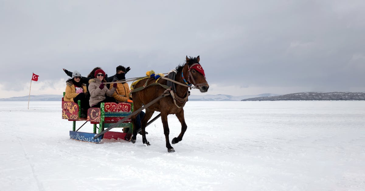 What are the options for thawing a frozen turkey? - People Riding on Horse on Snow Covered Ground What are the options for thawing a frozen turkey? - People Riding on Horse on Snow Covered Ground