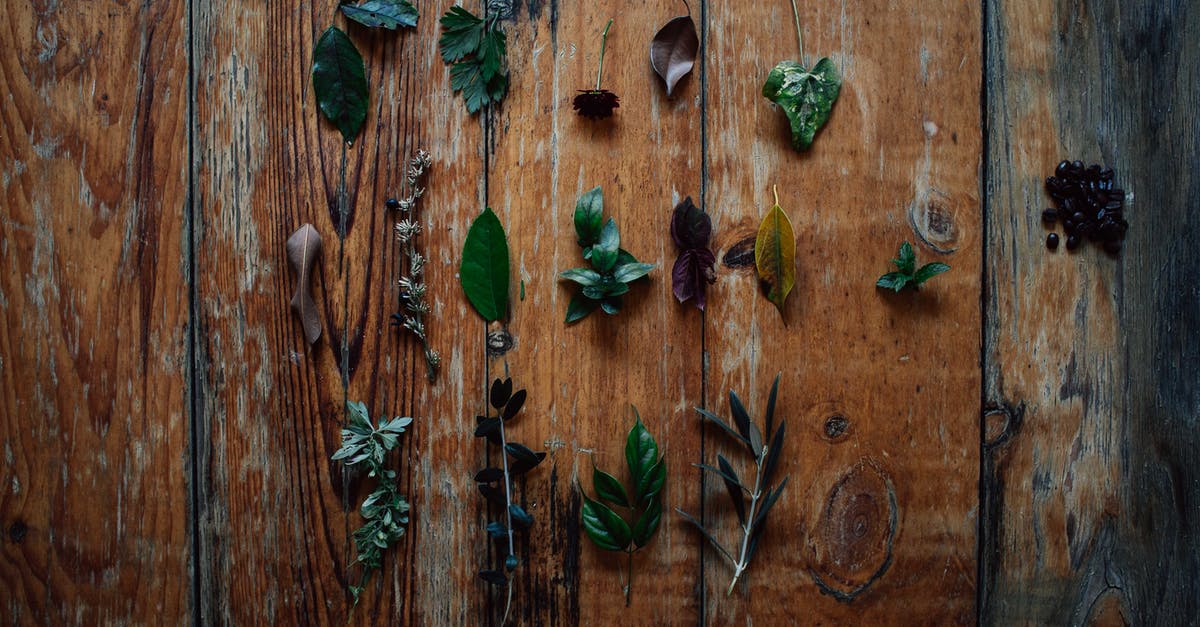 What are the purposes of the various specialty knives? - Green Leaves on Brown Wooden Surface What are the purposes of the various specialty knives? - Green Leaves on Brown Wooden Surface
