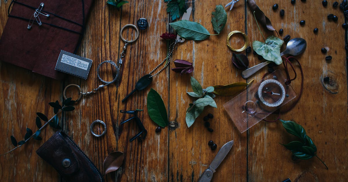 What are the purposes of the various specialty knives? - Green Leaves on Brown Wooden Table What are the purposes of the various specialty knives? - Green Leaves on Brown Wooden Table