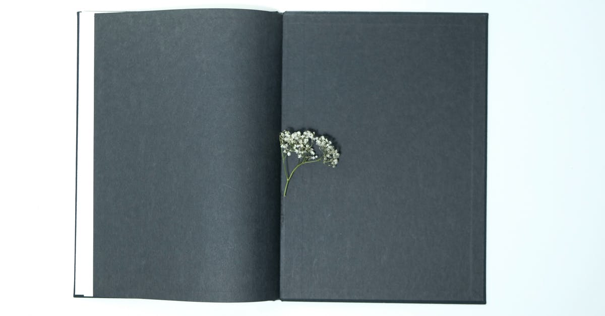 What are the tiny white self-moving objects on pasta? - Top view of opened book with black pages with small thin twig of white gypsophila plant What are the tiny white self-moving objects on pasta? - Top view of opened book with black pages with small thin twig of white gypsophila plant