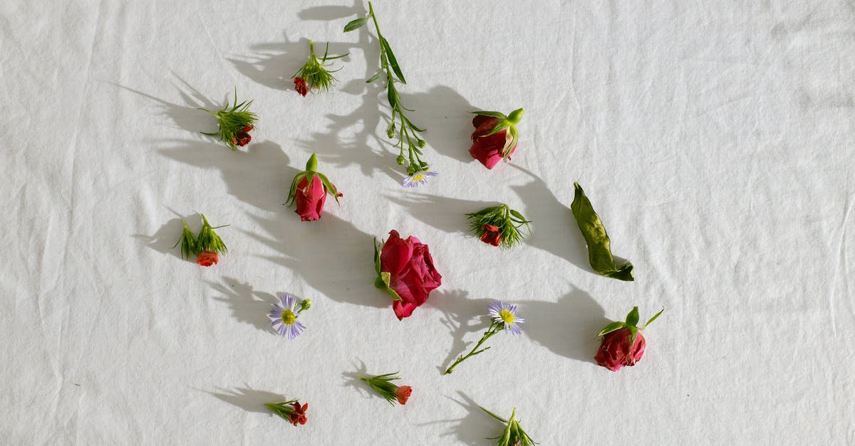 What are the tiny white self-moving objects on pasta? - Top view of delicate fresh pink roses and tender chamomile flowers placed on white fabric What are the tiny white self-moving objects on pasta? - Top view of delicate fresh pink roses and tender chamomile flowers placed on white fabric