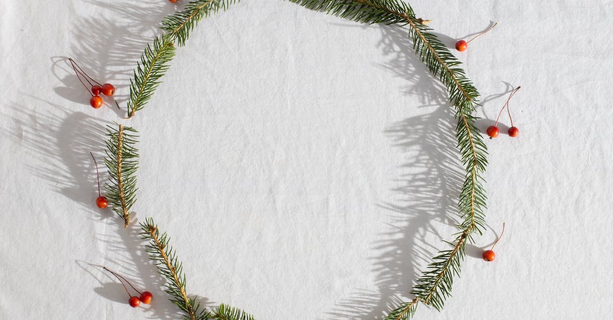 What are the tiny white self-moving objects on pasta? - Top view of fresh coniferous branches with red holly berries placed in round on white fabric What are the tiny white self-moving objects on pasta? - Top view of fresh coniferous branches with red holly berries placed in round on white fabric