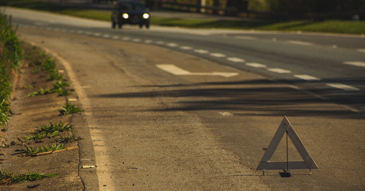 What are the triangular shaped markings on asparagus called? - Car on road with warning sign in evening What are the triangular shaped markings on asparagus called? - Car on road with warning sign in evening