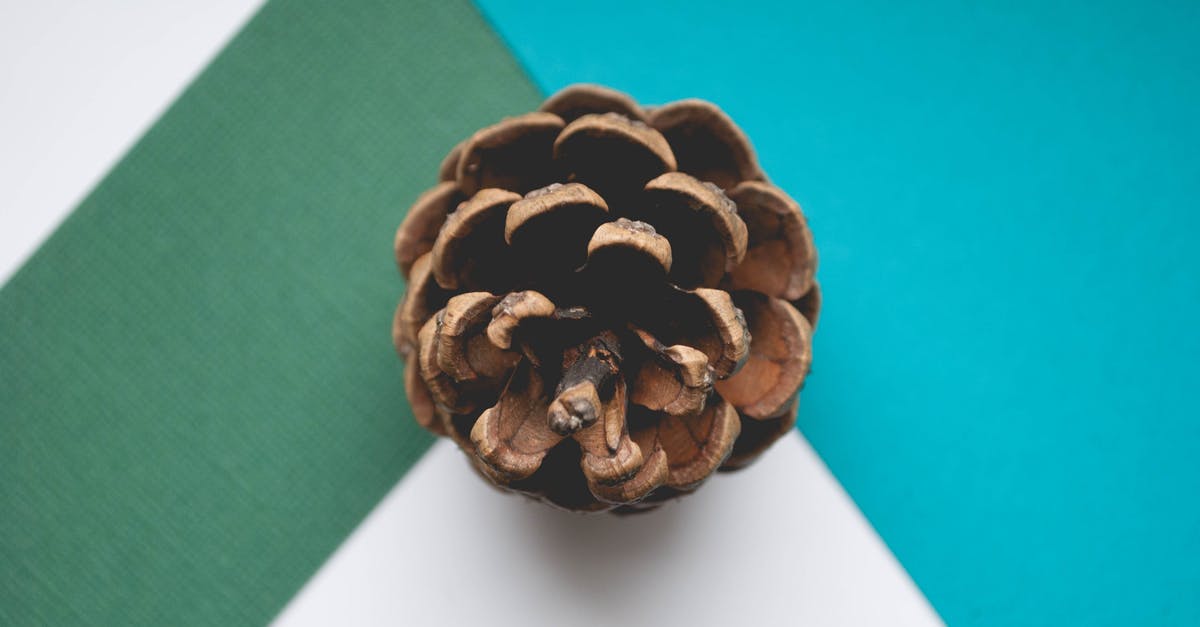 What are these brown lines in my apple? - Brown Pinecone Close-up What are these brown lines in my apple? - Brown Pinecone Close-up