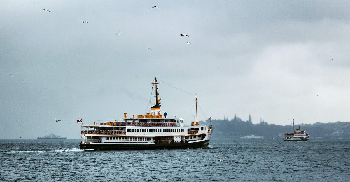 What are these dark areas in turkey meat? - Seagulls Flying Above White Ship on Sea During Gloomy Weather What are these dark areas in turkey meat? - Seagulls Flying Above White Ship on Sea During Gloomy Weather