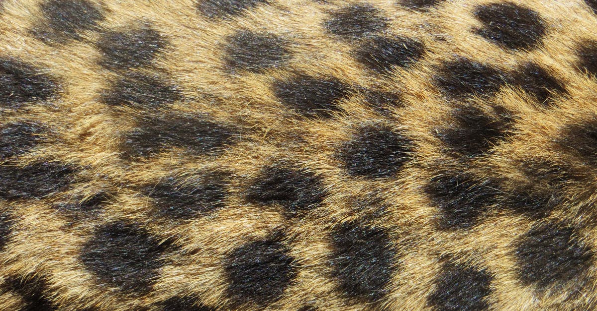 What are these spots on my butternut squash? - Brown and Black Textile What are these spots on my butternut squash? - Brown and Black Textile