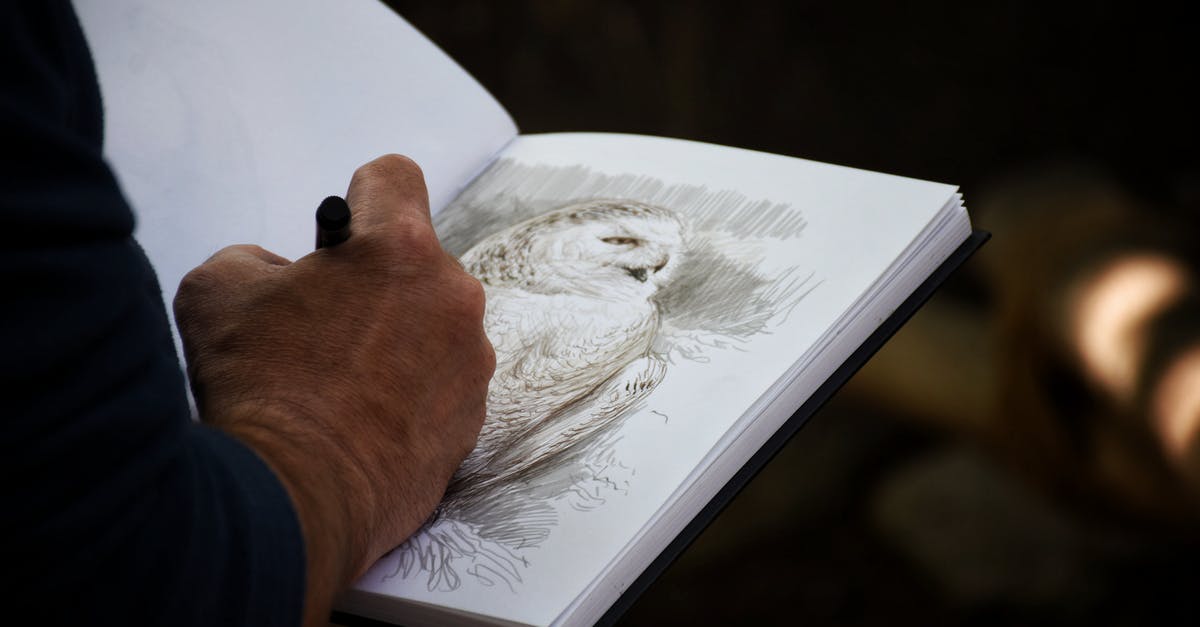 What batter was used on Birds Eye potato fritters? - Unrecognizable artist drawing owl in album at home What batter was used on Birds Eye potato fritters? - Unrecognizable artist drawing owl in album at home