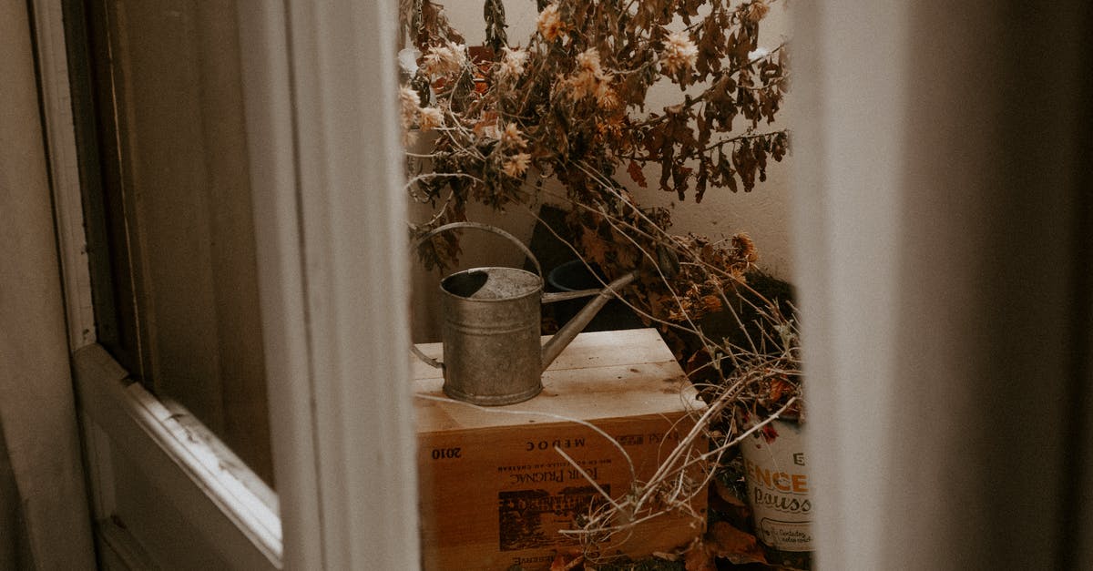 What can I do to fix/improve a dry cake? - Watering Can on Wooden Box What can I do to fix/improve a dry cake? - Watering Can on Wooden Box
