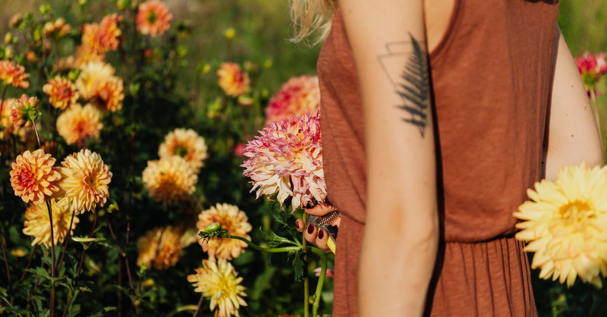 What can I do with an arm roast? [closed] - Woman in Brown Tank Top Standing Beside Flowers