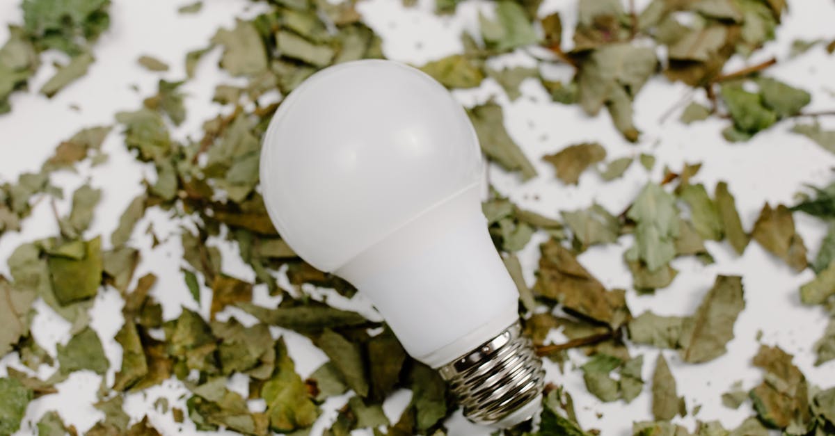 What can I do with shredded wheat shreds? - White Light Bulb on a Flat Surface with Shredded Dried Leaves What can I do with shredded wheat shreds? - White Light Bulb on a Flat Surface with Shredded Dried Leaves
