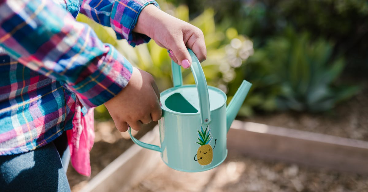 What can I substitute for pineapple in punch? - Woman in Bright Plaid Shirt and Pink Nails Holding Teal Watering Can with Pineapple Illustration What can I substitute for pineapple in punch? - Woman in Bright Plaid Shirt and Pink Nails Holding Teal Watering Can with Pineapple Illustration
