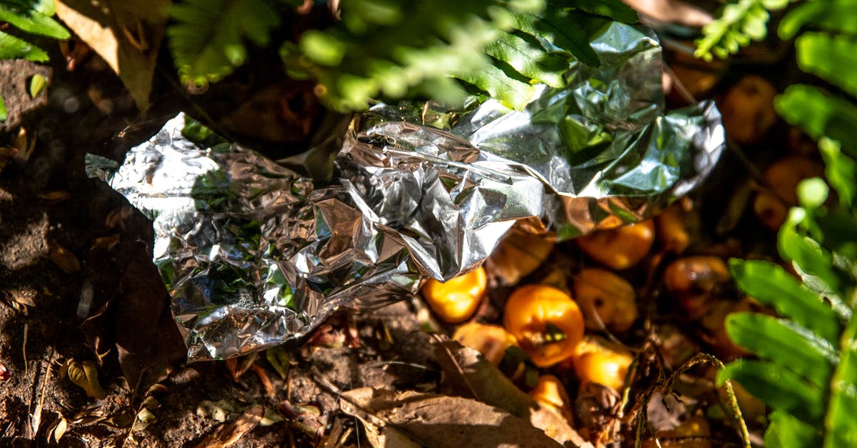 What causes pollution when cooking? [closed] - Yellow Round Fruits on Brown Dried Leaves