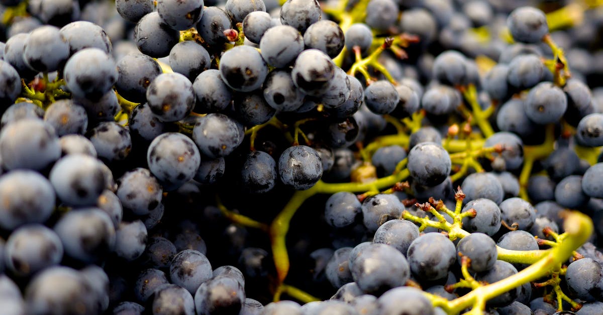 What color grapes are "Malaga grapes"? - Selective Focus Photo of Blueberries What color grapes are "Malaga grapes"? - Selective Focus Photo of Blueberries