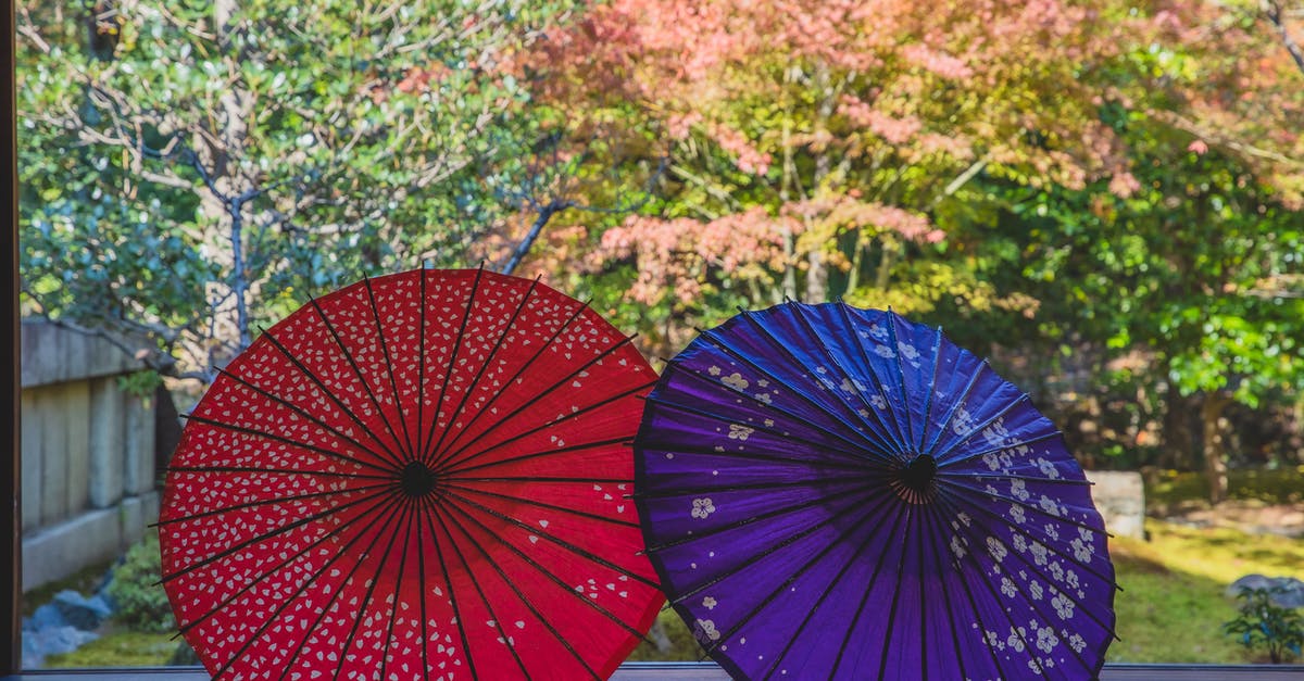What dish?: Japanese chicken skewer wrapped in a green leaf and sour red sauce - Japanese umbrellas on floor near forest in autumn What dish?: Japanese chicken skewer wrapped in a green leaf and sour red sauce - Japanese umbrellas on floor near forest in autumn