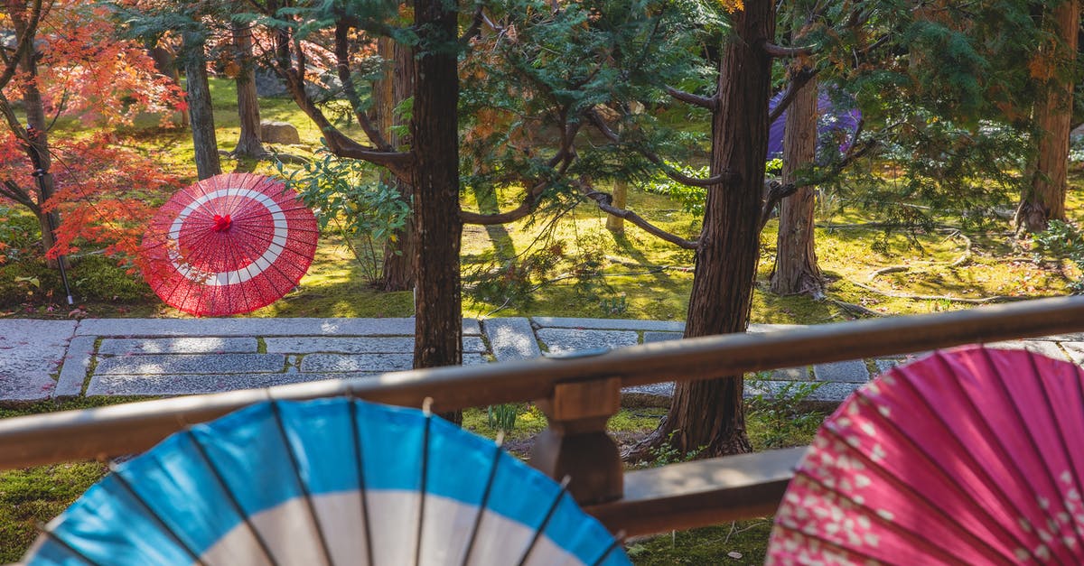 What dish?: Japanese chicken skewer wrapped in a green leaf and sour red sauce - Chinese umbrellas on terrace and near trees What dish?: Japanese chicken skewer wrapped in a green leaf and sour red sauce - Chinese umbrellas on terrace and near trees