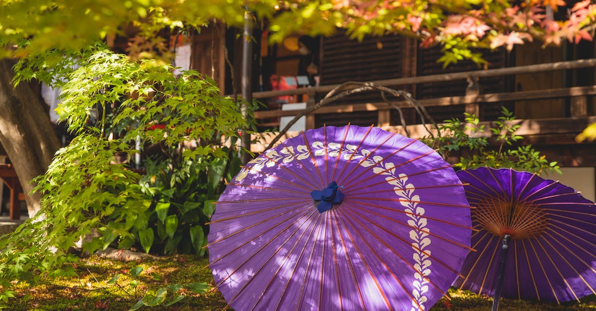 What do you need for Chinese style Hotpot at home? - Lilac umbrella in garden near house What do you need for Chinese style Hotpot at home? - Lilac umbrella in garden near house