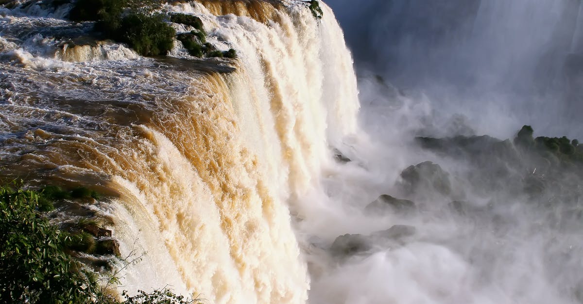 What does flushing mussels in water with flour do? - Iguazu falls What does flushing mussels in water with flour do? - Iguazu falls