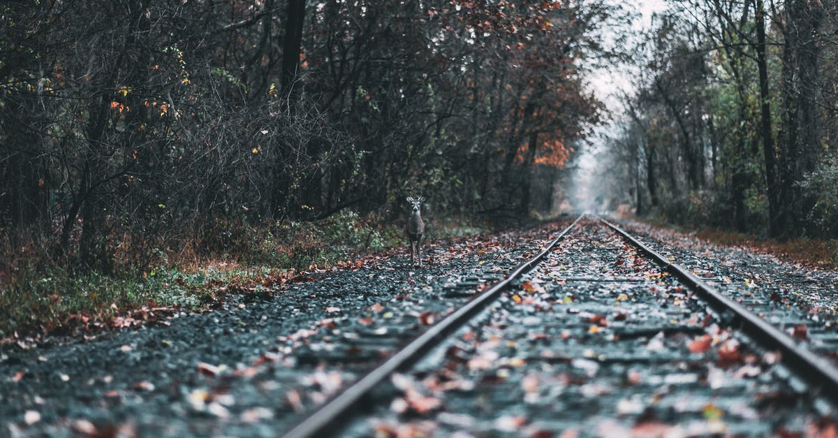 What does "natural" actually mean? - Train Rail What does "natural" actually mean? - Train Rail
