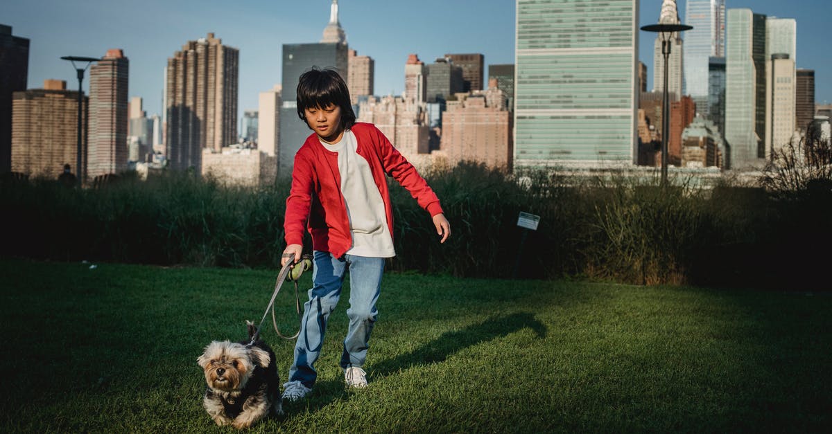 What does "until fork tender and the juices run clear" mean and how do I tell? - Ethnic child with Yorkshire Terrier on leash preparing to run on meadow against urban skyscrapers What does "until fork tender and the juices run clear" mean and how do I tell? - Ethnic child with Yorkshire Terrier on leash preparing to run on meadow against urban skyscrapers