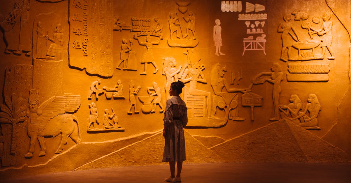 What does stp yeast stand for in an old recipe? - Back view of anonymous female traveler standing near ancient wall with Egyptian engraving What does stp yeast stand for in an old recipe? - Back view of anonymous female traveler standing near ancient wall with Egyptian engraving
