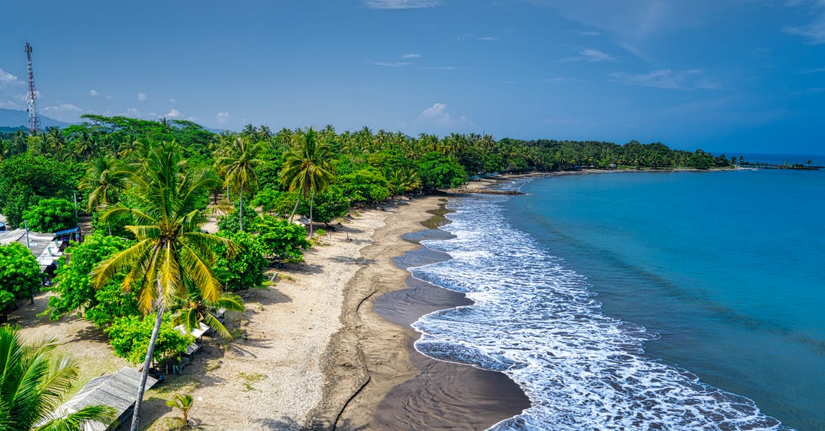 What effect have bay leaves in a meat/tomato sauce? - Bird's Eye View Of Seashore During Daytime What effect have bay leaves in a meat/tomato sauce? - Bird's Eye View Of Seashore During Daytime