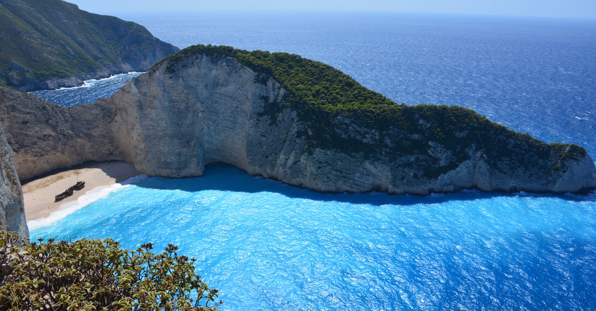 What effect have bay leaves in a meat/tomato sauce? - Green Island Near the Ocean during Daytime What effect have bay leaves in a meat/tomato sauce? - Green Island Near the Ocean during Daytime