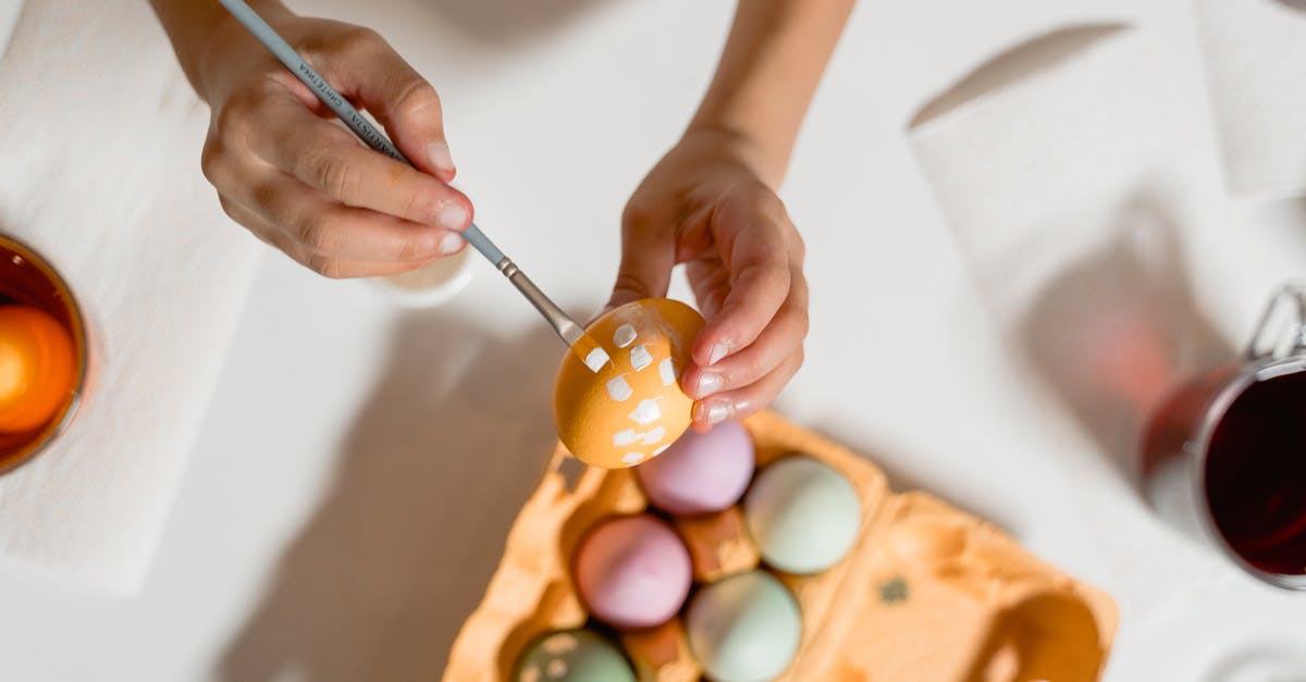 What happened to my egg? - Free stock photo of animal, arts and crafts, baking What happened to my egg? - Free stock photo of animal, arts and crafts, baking