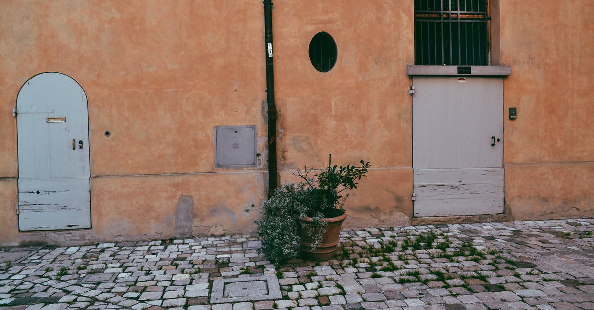 What happened to this pot - Green Potted Plant Beside White Concrete Building What happened to this pot - Green Potted Plant Beside White Concrete Building