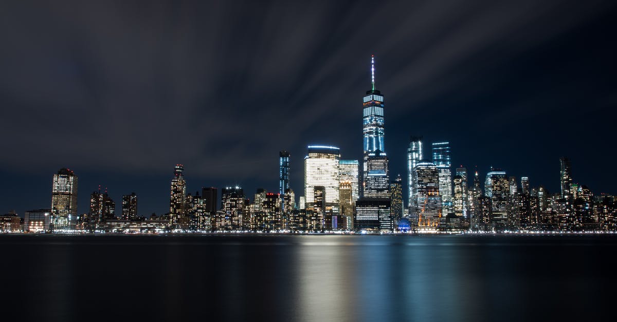 What is 1 scallion? - High-rise Buildings at Night Near Sea What is 1 scallion? - High-rise Buildings at Night Near Sea