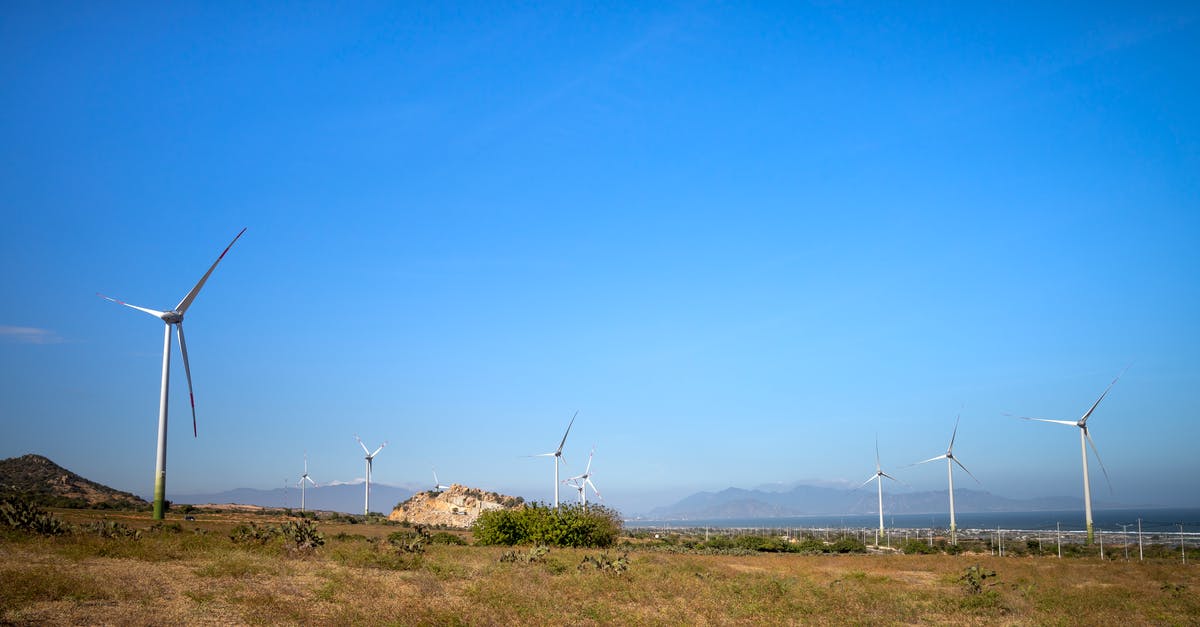 What is a good alternative to Sea Bass? - Picturesque view of air turbines on land with plants against ridges and ocean under cloudy sky in daylight What is a good alternative to Sea Bass? - Picturesque view of air turbines on land with plants against ridges and ocean under cloudy sky in daylight