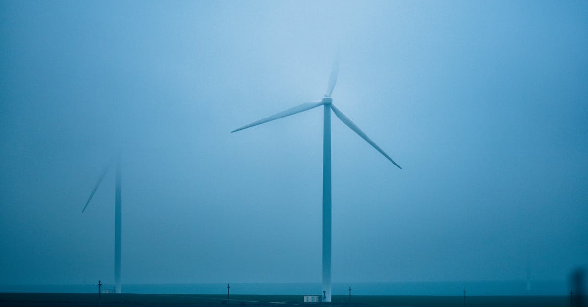 What is a good alternative to Sea Bass? - Air turbines on shore against endless ocean under blue sky in misty weather in twilight What is a good alternative to Sea Bass? - Air turbines on shore against endless ocean under blue sky in misty weather in twilight