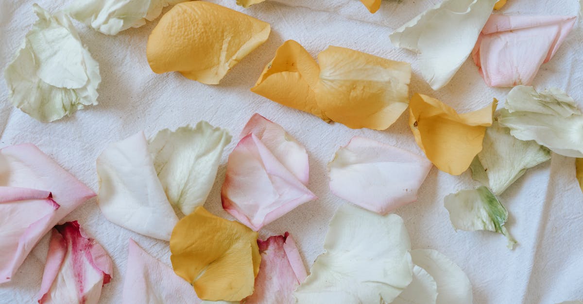 What is a mild detergent? - Gentle rose petals on soft white cloth What is a mild detergent? - Gentle rose petals on soft white cloth