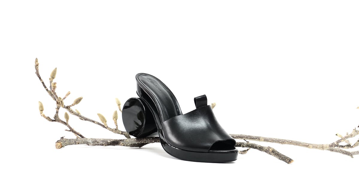 What is Heel of Round? - Black leather shoe with rounded heel on branch with buds on white background