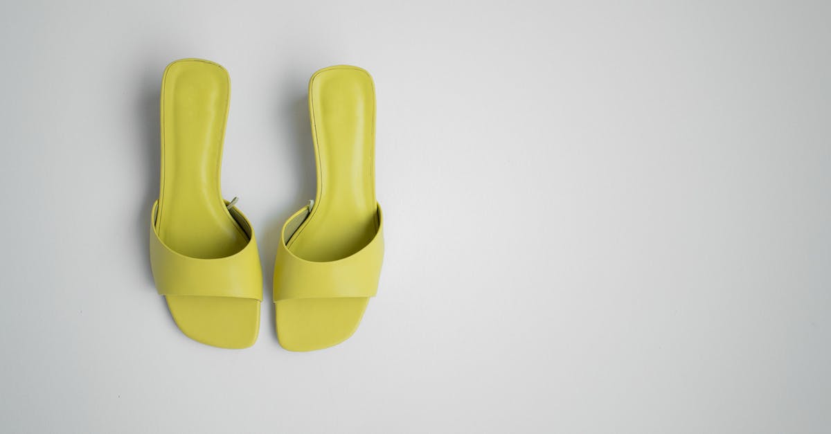 What is Heel of Round? - Stylish pair of female mule shoes on light background