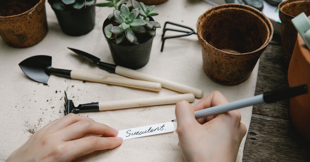 What is that tool called for scraping vegetables? - Gardener preparing tag for potted plant What is that tool called for scraping vegetables? - Gardener preparing tag for potted plant