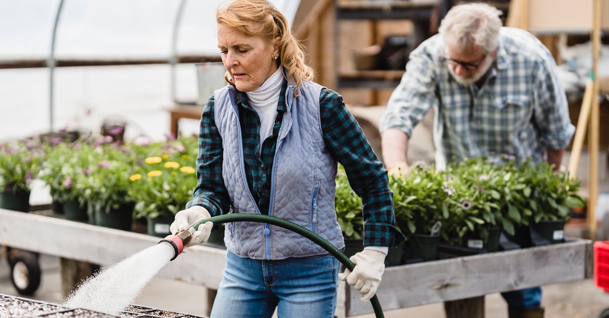 What is that tool called for scraping vegetables? - Senior couple working in greenhouse What is that tool called for scraping vegetables? - Senior couple working in greenhouse
