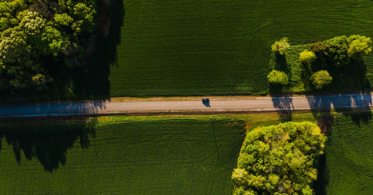 What is the Best Way to Keep Digestive Biscuits Fresh - Car driving through green fields on sunny day What is the Best Way to Keep Digestive Biscuits Fresh - Car driving through green fields on sunny day