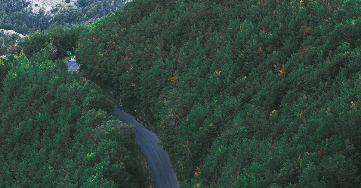 What is the Best Way to Keep Digestive Biscuits Fresh - Narrow roadway among lush green trees growing in mountainous valley What is the Best Way to Keep Digestive Biscuits Fresh - Narrow roadway among lush green trees growing in mountainous valley