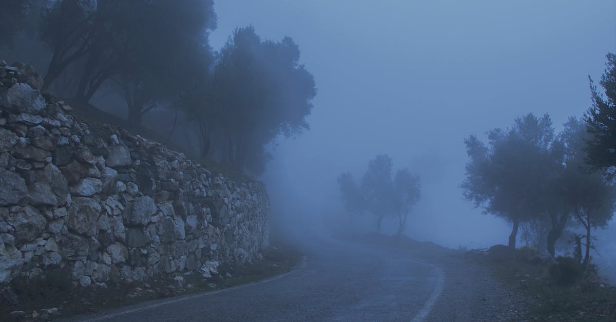 What is the best way to make purple butter icing? - Road Between Trees and a Cliff Covered With Fog What is the best way to make purple butter icing? - Road Between Trees and a Cliff Covered With Fog