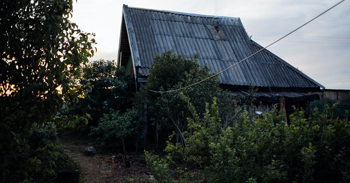 What is the best way to re-serve day old meat balls? - Small house near green trees in countryside What is the best way to re-serve day old meat balls? - Small house near green trees in countryside