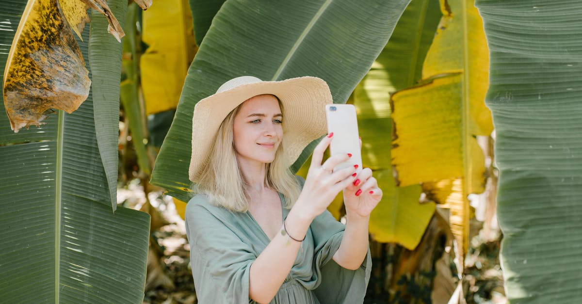 What is the best western/cheap substitute for banana leaf? - Cheerful female in straw hat standing in tropical garden and taking picture of banana leaves on smartphone while enjoying summer vacation What is the best western/cheap substitute for banana leaf? - Cheerful female in straw hat standing in tropical garden and taking picture of banana leaves on smartphone while enjoying summer vacation