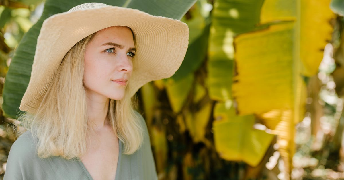 What is the best western/cheap substitute for banana leaf? - Serene female in straw hat and summer dress standing in exotic garden with banana leaves and looking away during vacation What is the best western/cheap substitute for banana leaf? - Serene female in straw hat and summer dress standing in exotic garden with banana leaves and looking away during vacation
