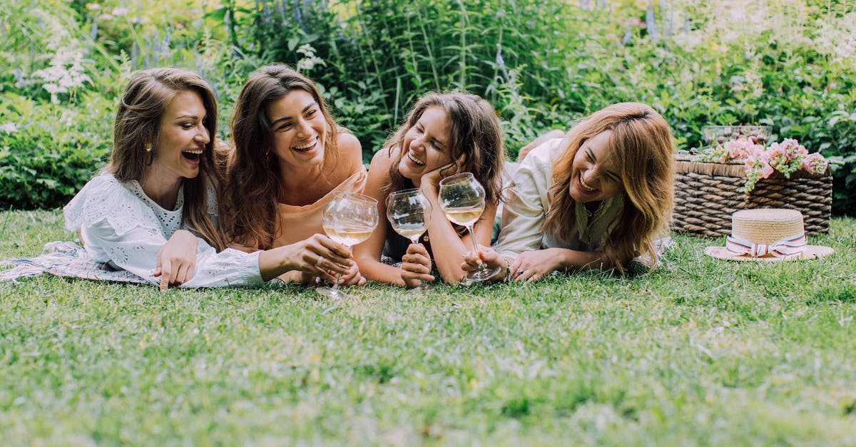 What is the best wine to use in a fondue recipe? - Photo of Friends Doing a Toast while Lying on the Ground What is the best wine to use in a fondue recipe? - Photo of Friends Doing a Toast while Lying on the Ground