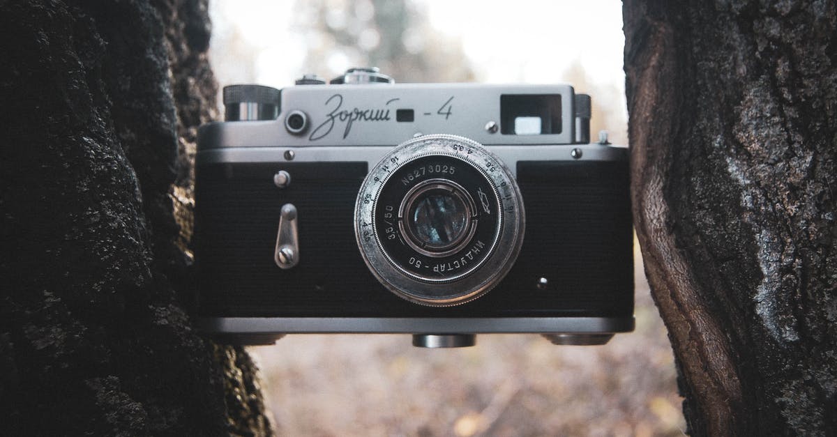 What is the difference between a poolish and a biga? - Retro Camera Wedged Between Trees What is the difference between a poolish and a biga? - Retro Camera Wedged Between Trees