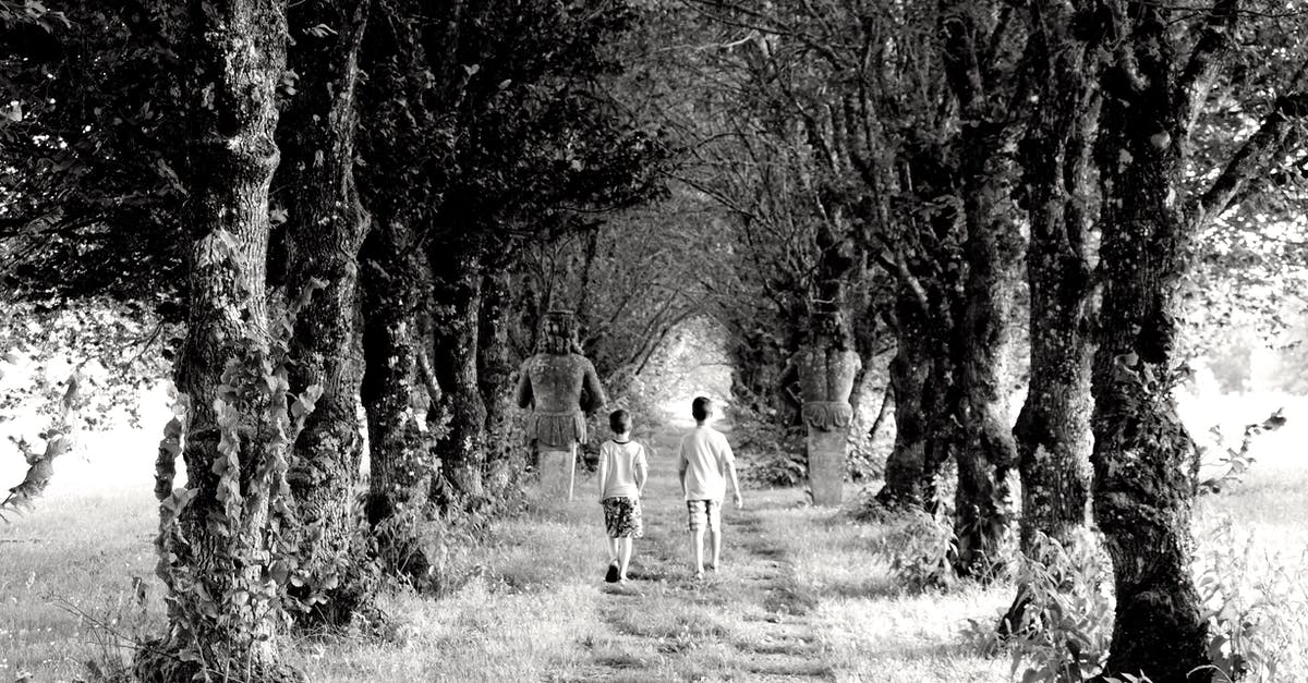 What is the difference between butterscotch, caramel, and toffee? - Backview of Children walking in an Unpaved Path between Trees What is the difference between butterscotch, caramel, and toffee? - Backview of Children walking in an Unpaved Path between Trees