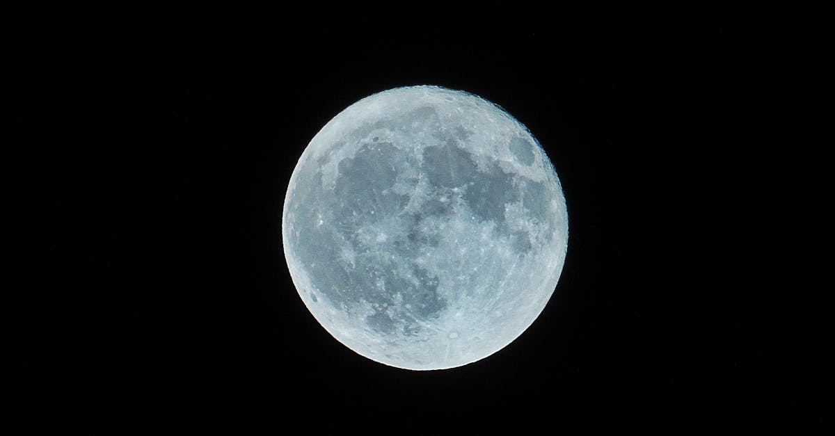 What is the difference between Orbit Gum and Orbit for Kids [closed] - Full Moon
