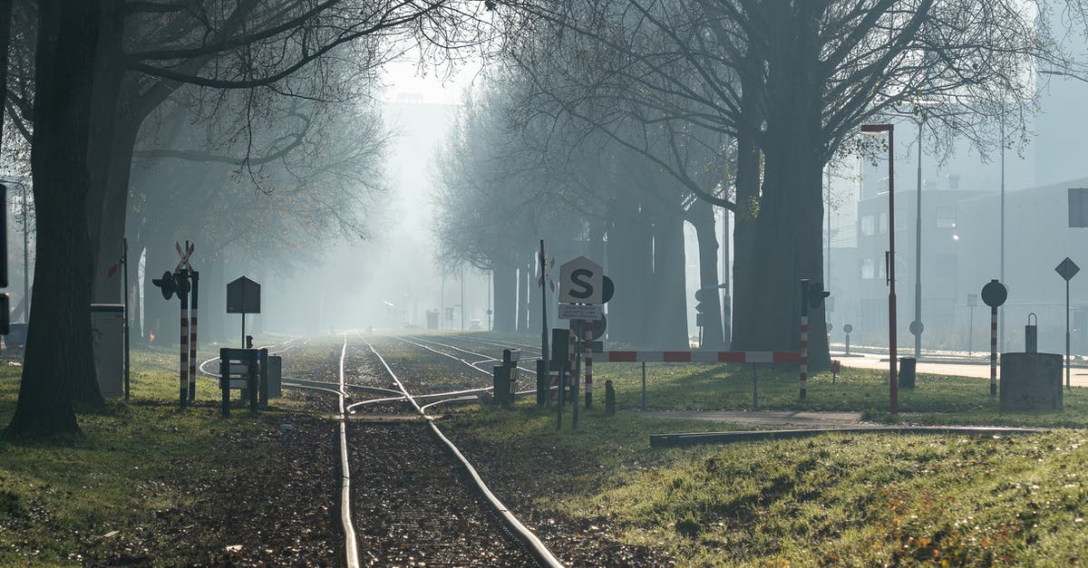 What is the difference between pectin and pectin NH? - Black Train Rail Near Bare Trees during Foggy Day