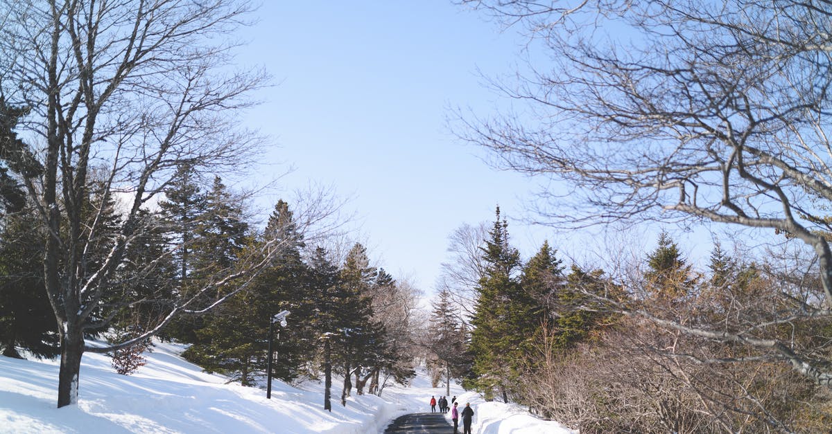 what is the difference between thick and liquidy cupcake batters? - Road Between Thick Snow and Trees what is the difference between thick and liquidy cupcake batters? - Road Between Thick Snow and Trees